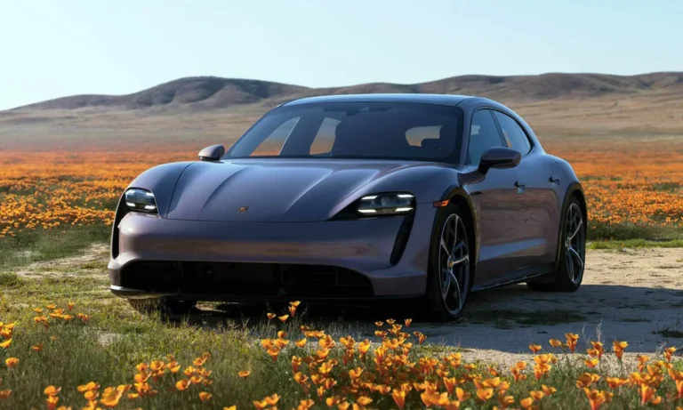 Grey Porsche Taycan beside an open landscape